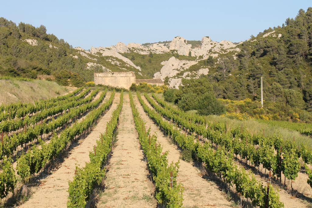 La Montagute Villa Thezan-des-Corbieres Ngoại thất bức ảnh